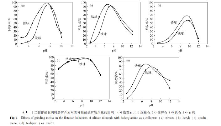 十二胺作捕收劑時(shí)磨礦介質(zhì)對五種硅酸鹽礦物浮選的影響 